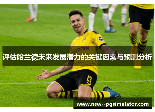 评估哈兰德未来发展潜力的关键因素与预测分析