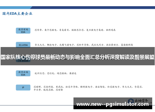 国家队核心伤停球员最新动态与影响全面汇总分析深度解读及前景展望
